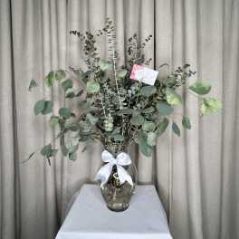 Eucalyptus Elegance