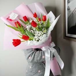 Red Tulips with Gypsophila