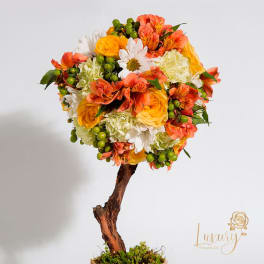 Topiary Stelle