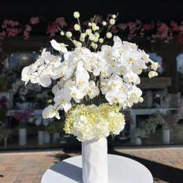 White orchid arrangement in a tall white vase