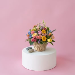 Spring Blooms
