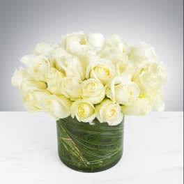 Two Dozen White Roses by BloomNation™