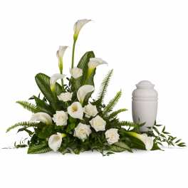 Stately Lilies