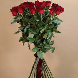 Classic Long Stem Roses