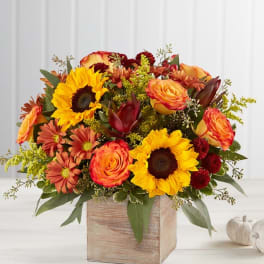 Sunflowers and orange roses in a wooden cube vase