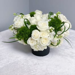 White rose arrangement with green pom-pom accents in a black container