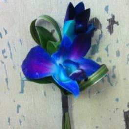 Single blue-purple orchid boutonniere with green leaves