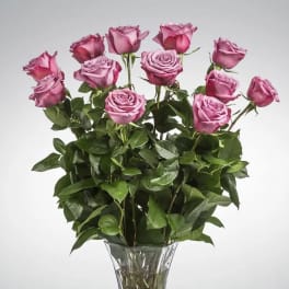 Dozen Long Stemmed Lavender Roses by BloomNation™