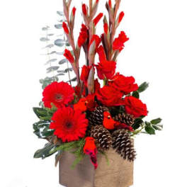 Red flowers and pinecones in a square box arrangement