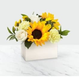 Sunflower and white rose arrangement in a white box