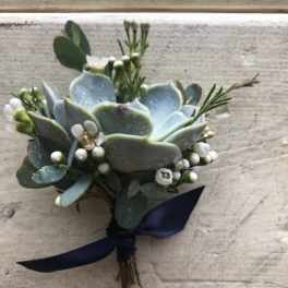 Small succulent boutonniere with white buds and a navy ribbon