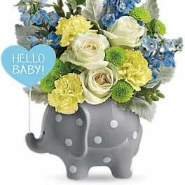 Teleflora's Hello Sweet Baby - Blue