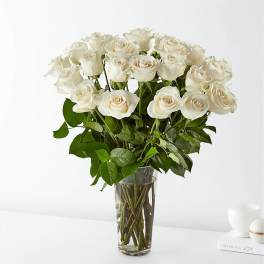 Long Stems White Rose