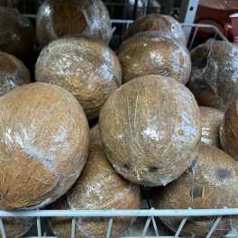 Stacked wrapped coconut shells in a display bin