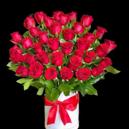 Red roses arranged in a white hatbox with a red ribbon