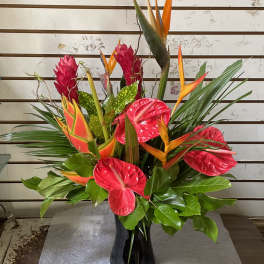 Tall tropical arrangement with red anthurium and orange bird-of-paradise in a black vase