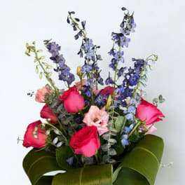 Blue and pink hapiness