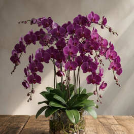 Purple orchid arrangement in a clear glass container on a wooden table