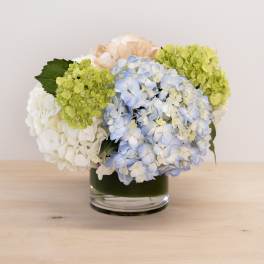 Hydrangea arrangement in a glass vase with blue, white, green, and peach blooms