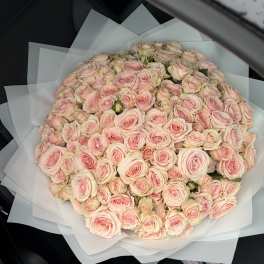 Bouquet of Pink Spray Roses in White Wrapping