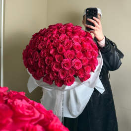 Depth of Passion: 100 Dark Pink Roses