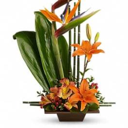 Teleflora's Exotic Grace