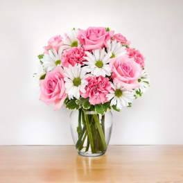 Daisy & Rose Delight