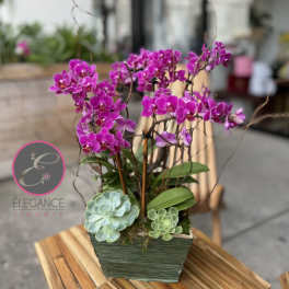 Purple orchids arranged in a square green planter with succulents