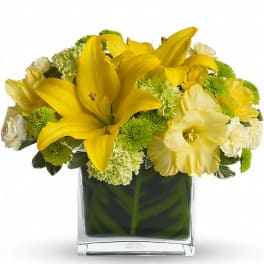 Low yellow and green arrangement with lilies, carnations, and mums in a clear square glass vase