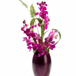 Love's Sweet Dream by Teleflora
