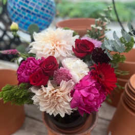 Spring Beauty