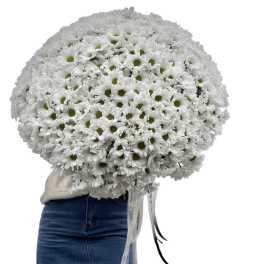 Large Bouquet of Daisies