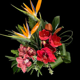 Tropical bouquet with red amaryllis and bird of paradise flowers