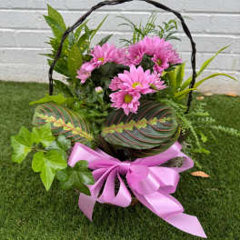 Basket of pink daisies with mixed greenery and a pink ribbon bow