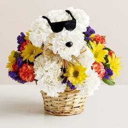 Flower basket arranged as a white dog with sunglasses
