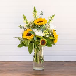 You are my Sunshine