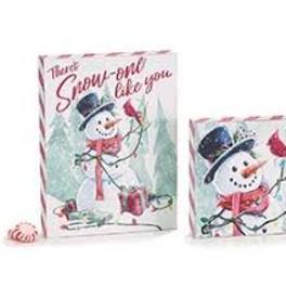 Two snowman-themed gift bags with winter designs