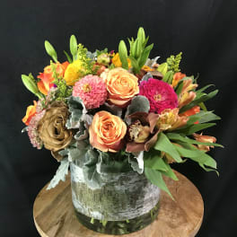 An Autumn Burst