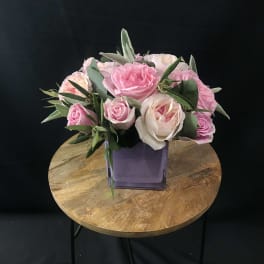 Pretty in Pink
