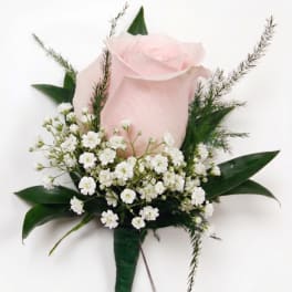 Single pale pink rose with small white filler flowers