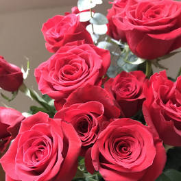 Red Roses