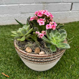 Potted succulent arrangement with pink flowers in a ceramic bowl