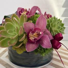 Pink orchids and green succulents arranged in a round black container with a ribbon