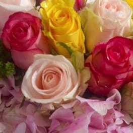Close-up bouquet of pink, yellow, and white roses with pink petals