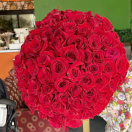 Large bouquet of red roses held indoors