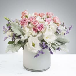 Sweet Cream by BloomNation™