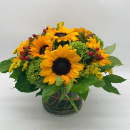 Sunflower arrangement in a glass vase with green filler and red berry accents