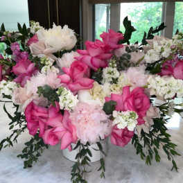 Pink roses