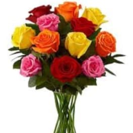 Rainbow Rose Delight