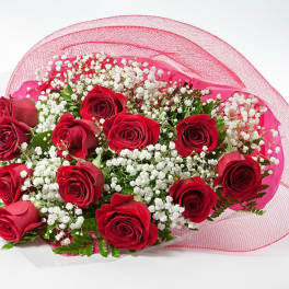 Bouquet of red roses with white baby's breath wrapped in pink mesh